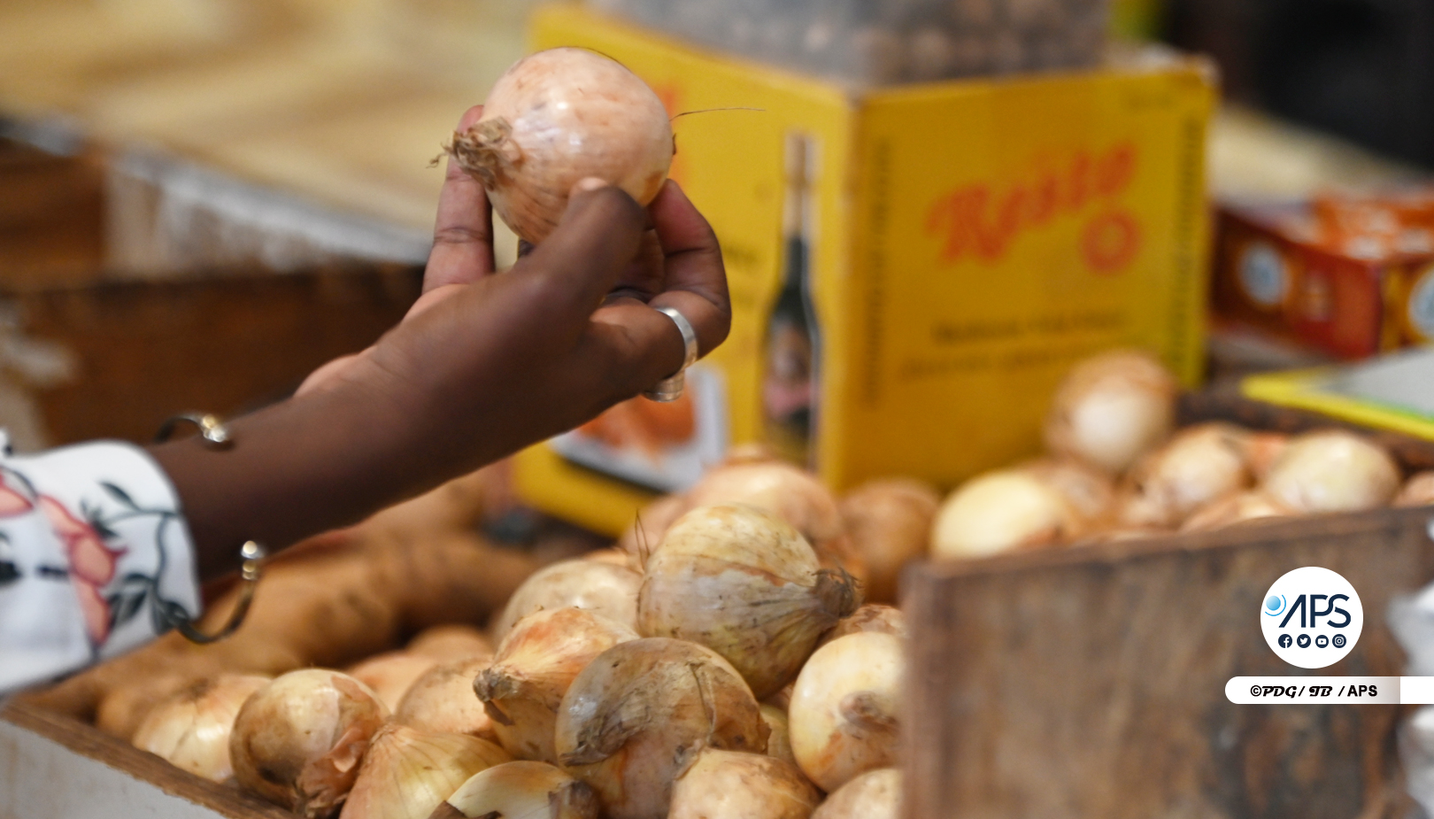 Photo: Baisse du prix du kilogramme d’oignon dans les marchés de Dakar