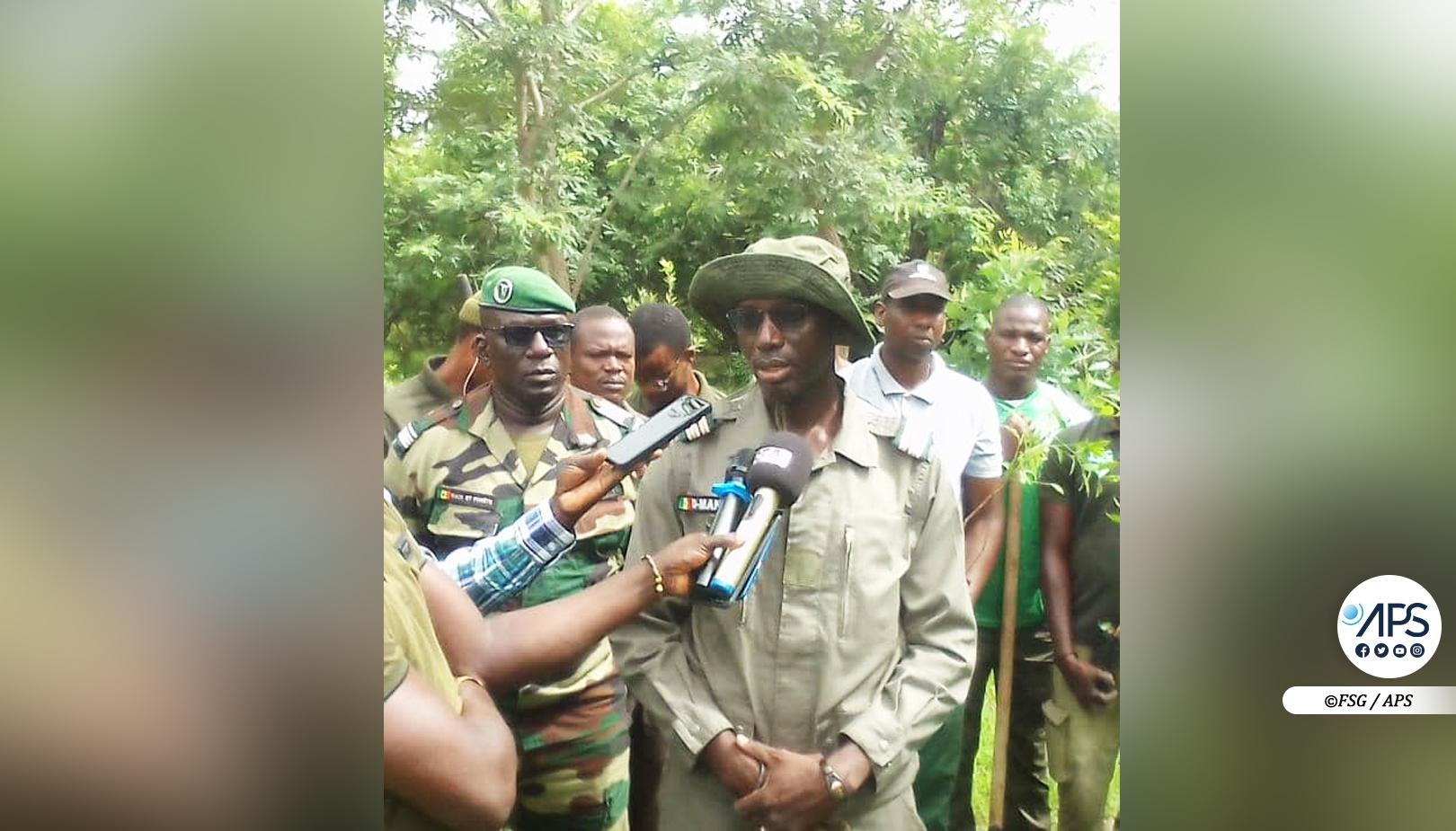 Photo : L’Inspection des Eaux et Forêts de Kolda plante 250 arbres pour contrer la déforestation