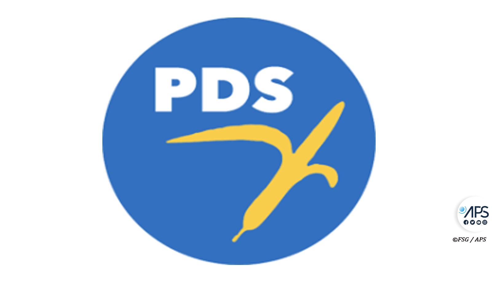 Renouvellement des instances du PDS : la division s’installe dans la fédération de Tivaouane