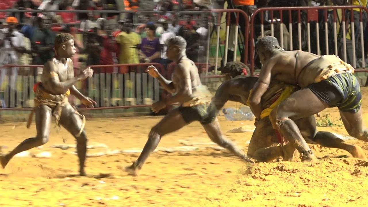 Vidéo – Combat Ardo vs Ibou Afia: Revivez l’intégralité du face-à-face