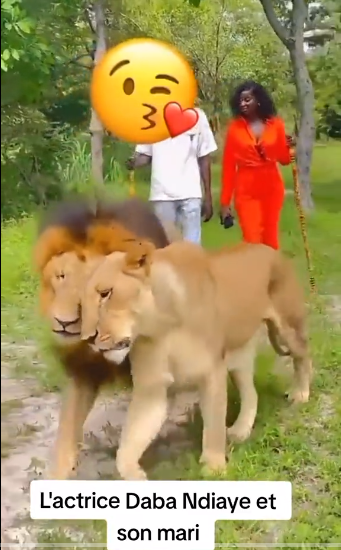 En lune de miel, Daba Ndiaye et son mari s’offrent une balade romantique  (vidéo)