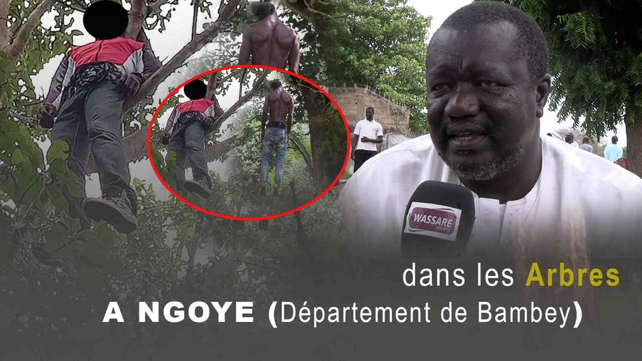 Ngoye – Suicide d’un père de famille : Les terribles révélations du chef de village… (vidéo)