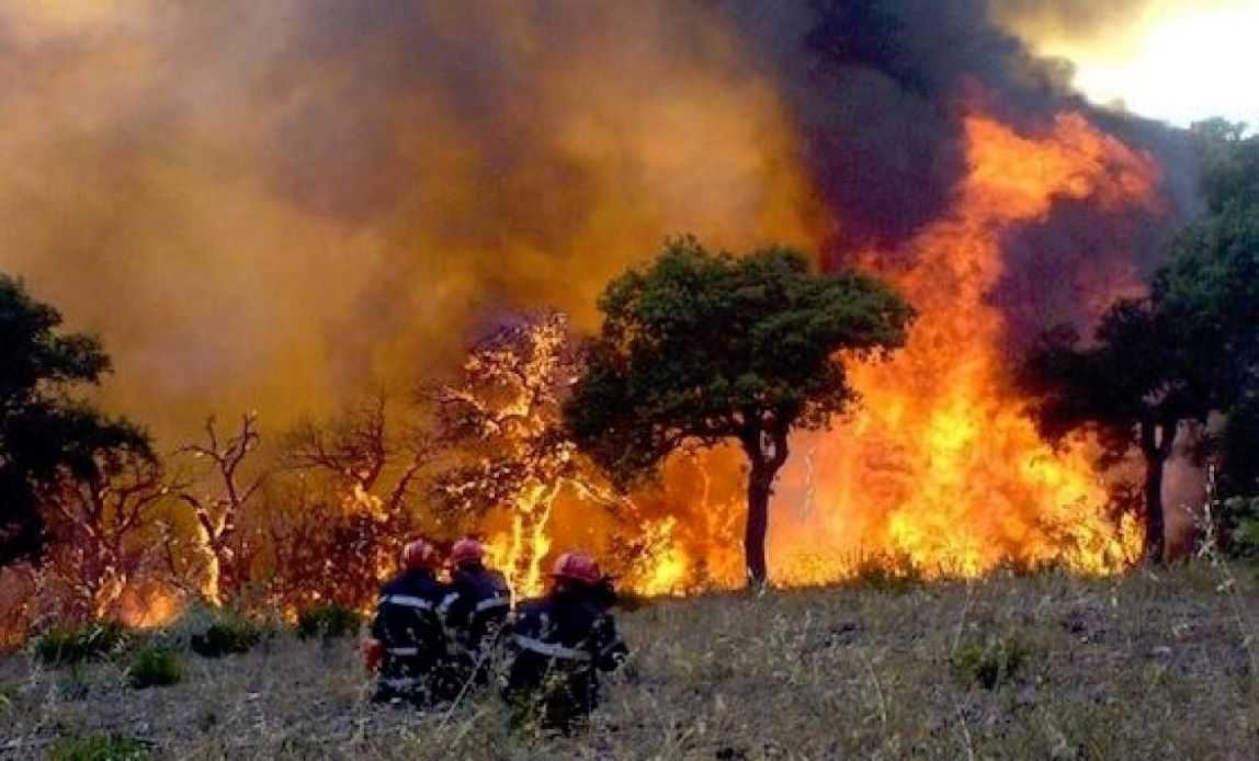 Algérie : Nouvelle vague d’incendies ravage le nord du pays