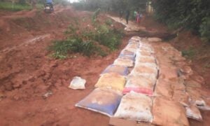 Cameroun : Les accidents de la circulation, une menace croissante pour la population