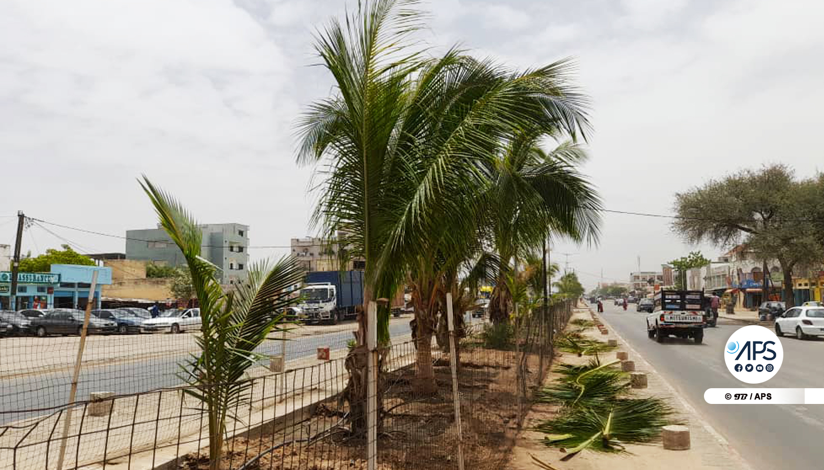 Clôture d’un camp citoyen pour le reboisement à Tambacounda par la zone militaire n°4