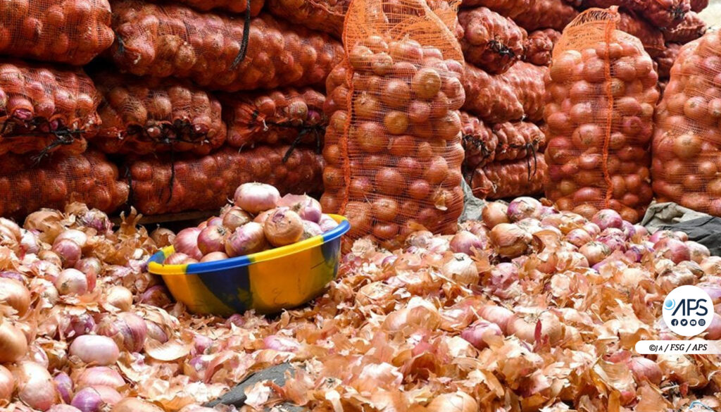 Régulation du marché : l’État suspend la vente des oignons issus des agro-business …