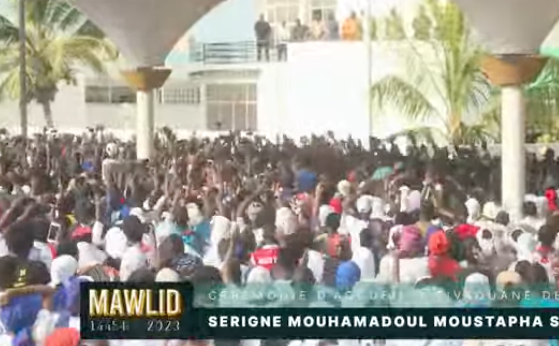 Direct- Tivaouane : Des milliers de disciples  chez  Serigne Moustapha Sy (vidéo)