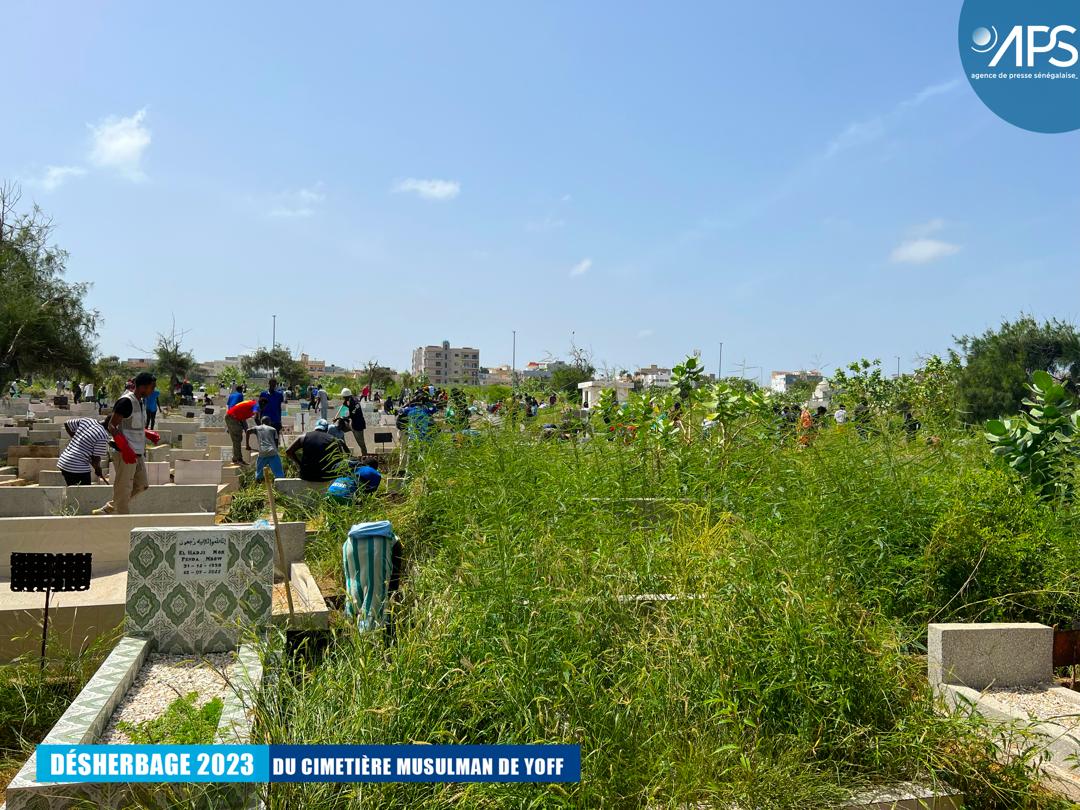 (10) Photos : Opération de désherbage 2023 au cimetière musulman de Yoff