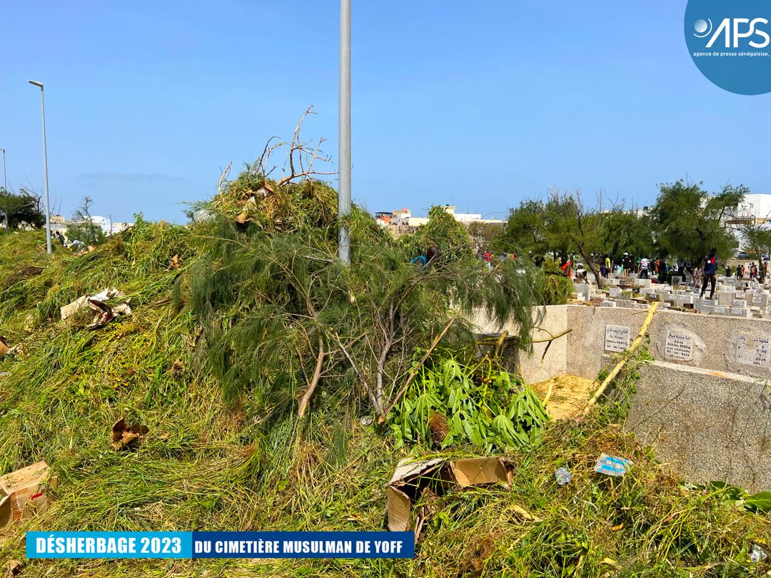 (10) Photos : Opération de désherbage 2023 au cimetière musulman de Yoff