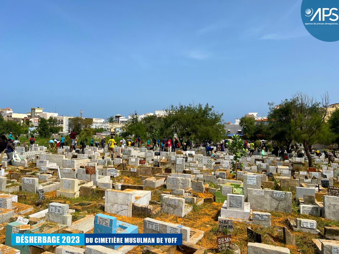 (10) Photos : Opération de désherbage 2023 au cimetière musulman de Yoff