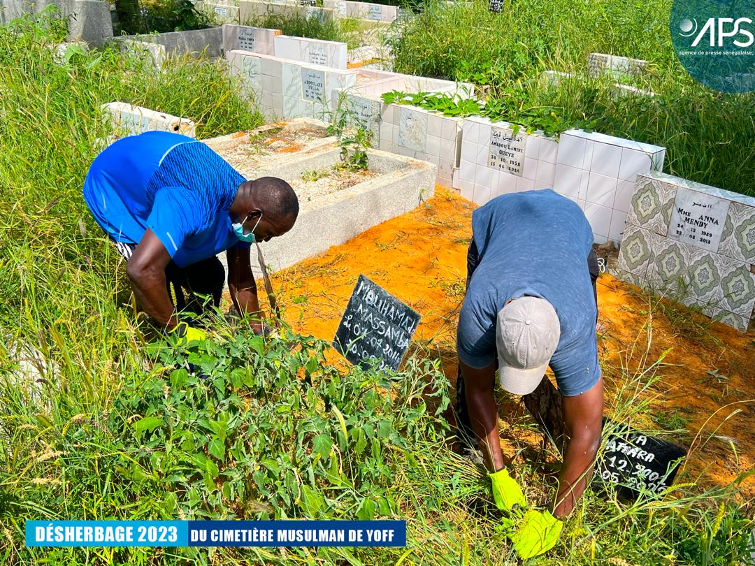 (10) Photos : Opération de désherbage 2023 au cimetière musulman de Yoff