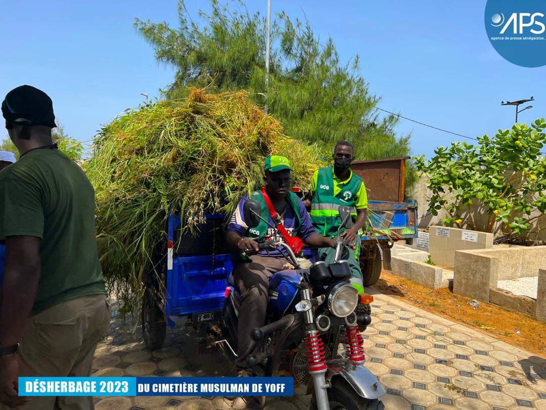 (10) Photos : Opération de désherbage 2023 au cimetière musulman de Yoff