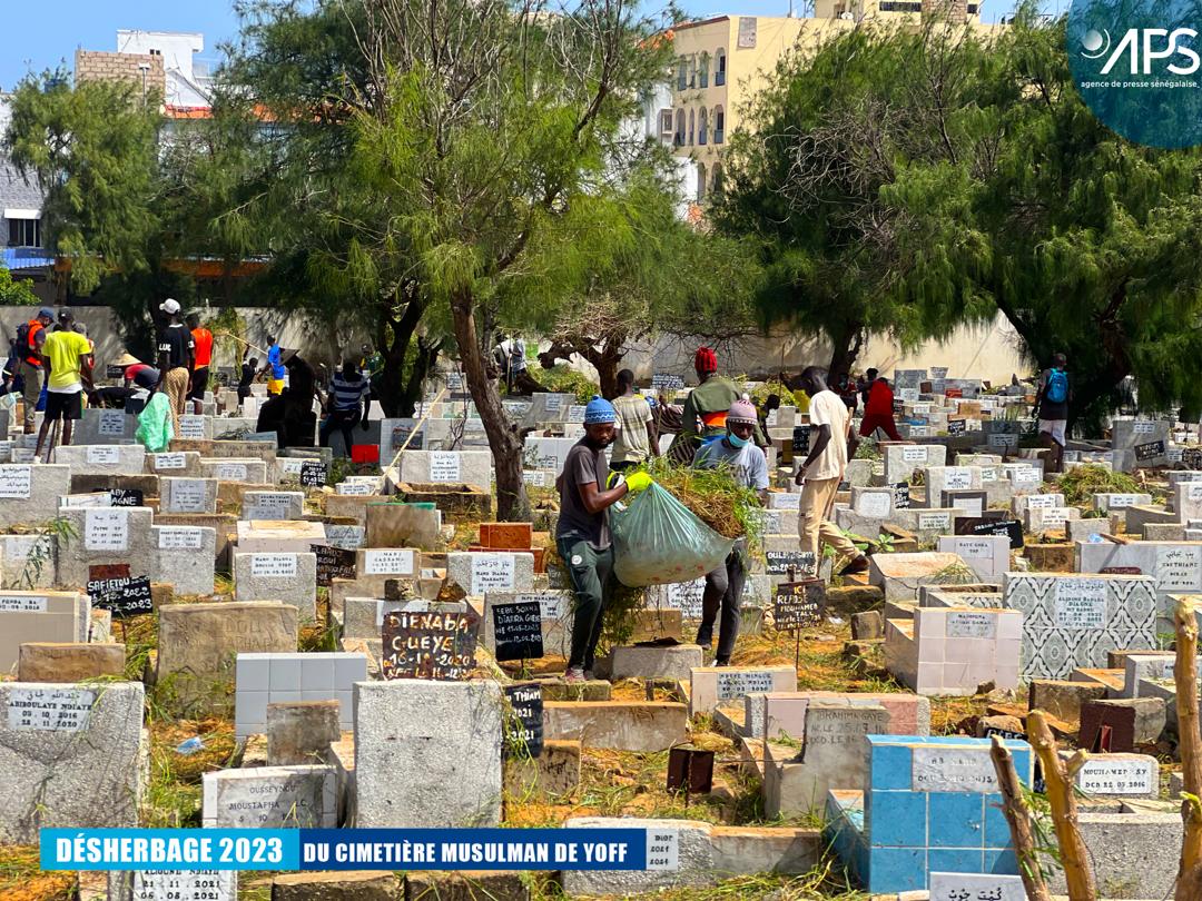 (10) Photos : Opération de désherbage 2023 au cimetière musulman de Yoff