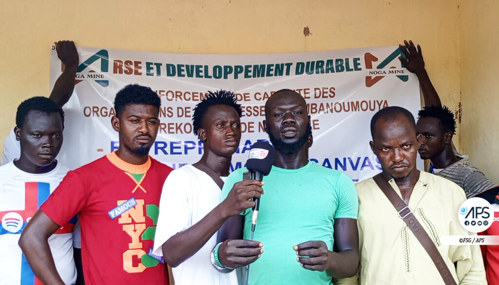 (3) Photos - 38 jeunes formés en éducation financière et business plan par Noga Mine à Kédougou