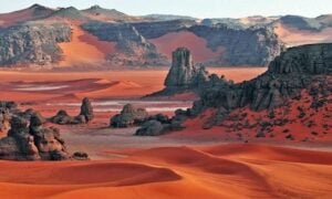 Algérie : Air Algérie et Point Afrique s