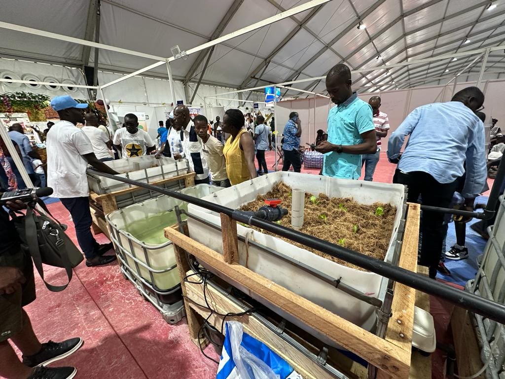 Côte d&rsquo;Ivoire : Promouvoir la souveraineté alimentaire grâce à l&rsquo;aquaponie, une innovation de la FAO