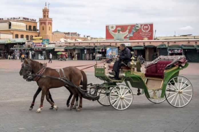 Le Maroc enregistre une hausse de 7% des entrées touristiques malgré les séquelles du Covid-19 et le récent séisme