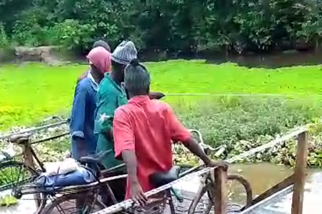 Région de Kolda : Sauvons le « fleuve Casamance » !