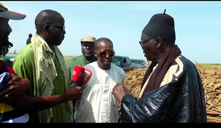 Phosphates de Matam : Serigne Moustapha Lacram Mbacké adoube Cheikh Amar et lui assure la protection mouride