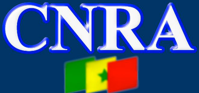 Le Conseil national de Régulation de l’Audiovisuel reproche au Groupe DMEDIA une propagande politique abusive