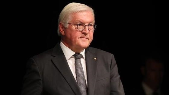 Le président allemand, Frank Walter Steinmeier, ignoré à son arrivée au Qatar : une réaction politique?