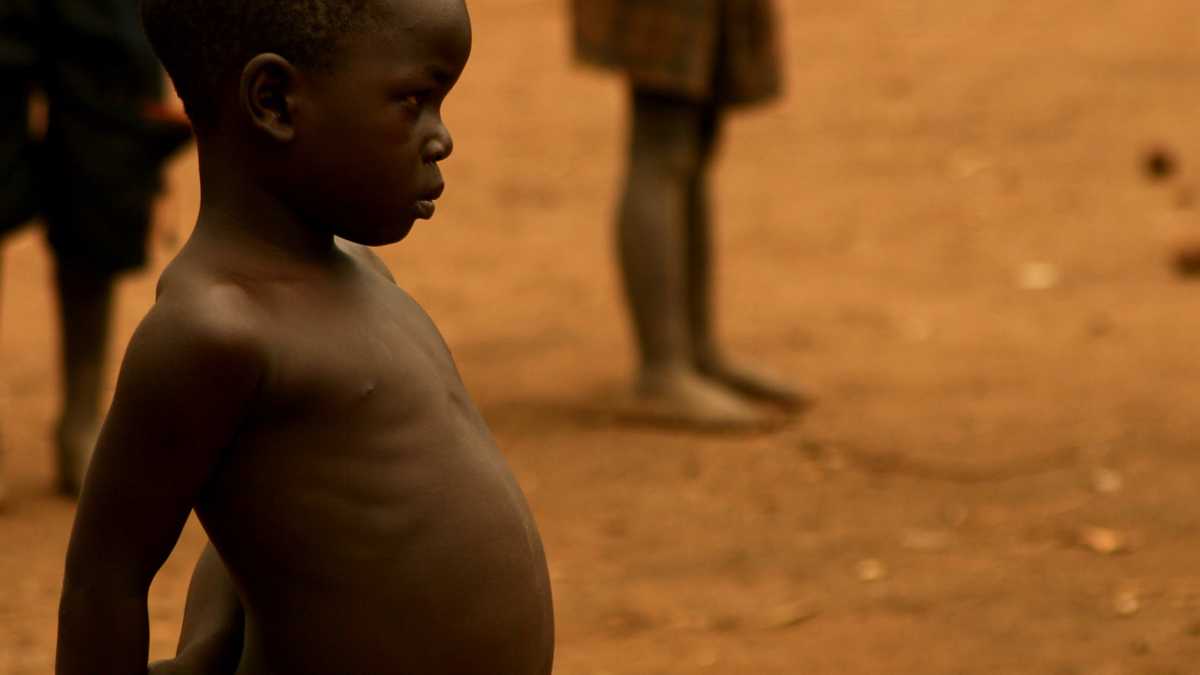 Niger : Alerte sur une crise humanitaire sans précédent affectant 4,7 millions de personnes