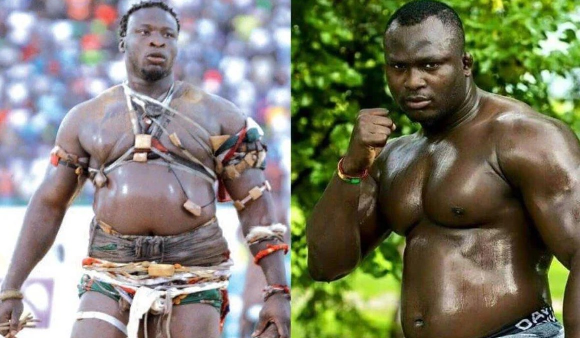 (Vidéo) Modou Lo vs Ama Baldé: Coach Allouche révèle les points forts des deux lutteurs, Regardez !