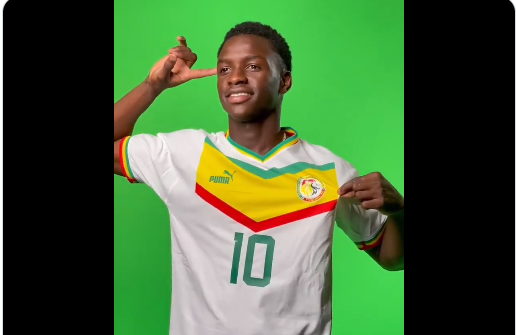 Indonésie U17 2023 : Séance photo shooting des Lionceaux (Vidéo)