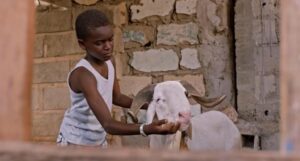 Sénégal – Cinéma: « Le Mouton de Sada » enfin sur les écrans à partir de…