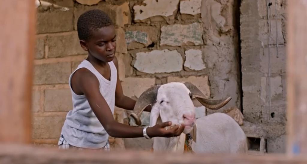 Sénégal – Cinéma: « Le Mouton de Sada » enfin sur les écrans à partir de…