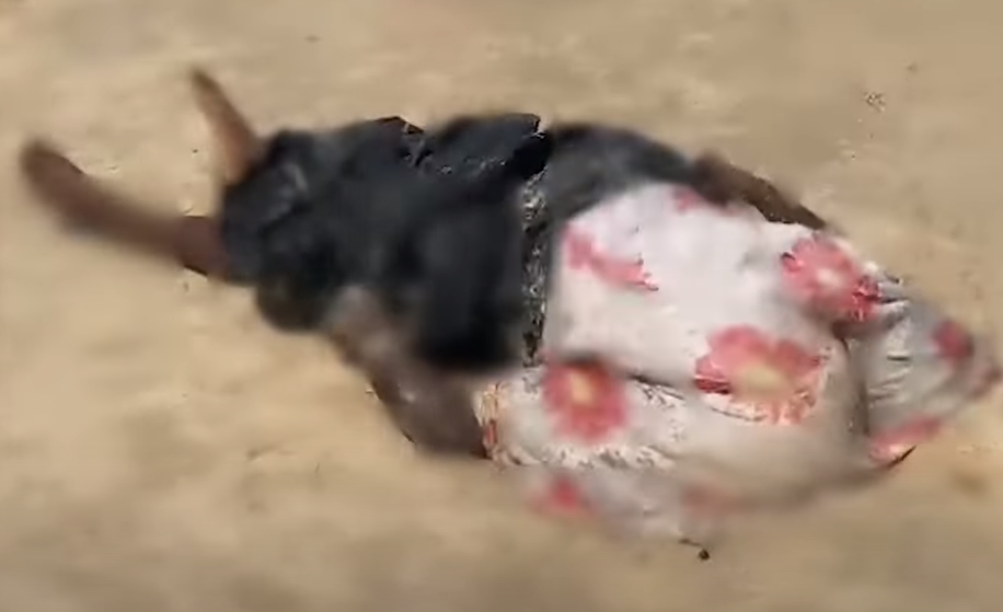 Yoff Diamalaye : »Un corps sans vie rejeté par la mer… »(vidéo)
