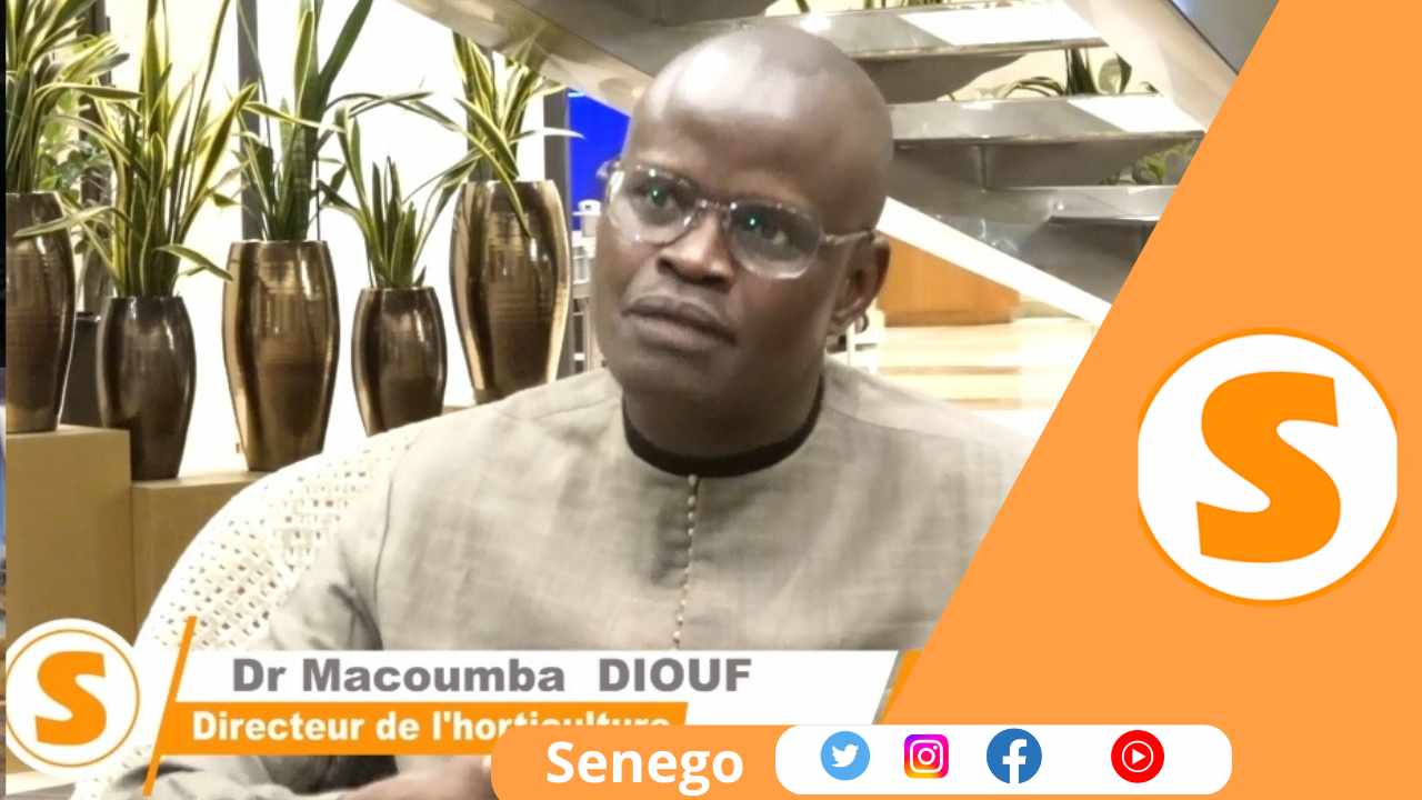 Sénégal : « L’horticulture est la solution pour l’emploi des jeunes… », Dr Macoumba Diouf   (Senego Tv)