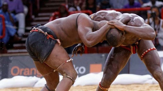 Dakar et ses régions accueillent des galas de lutte : 4,5 millions en jeu, 3 bœufs et un écran plat à gagner