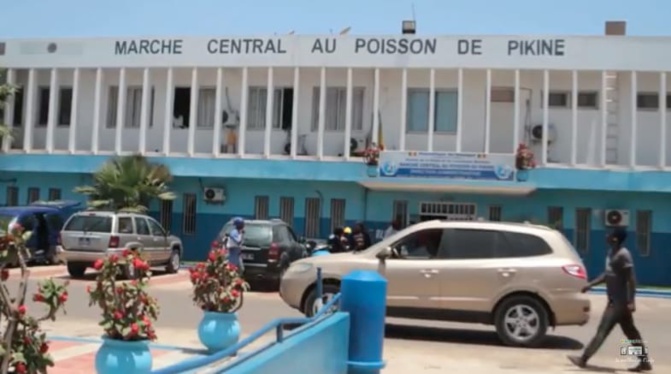Marché au Poisson Pikine: Un jeune retrouvé mort…