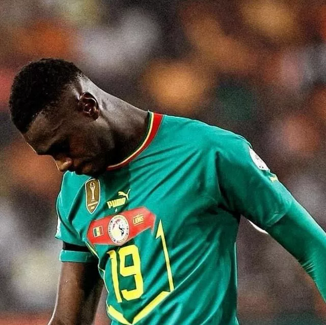 Maillot Senegal CAN 2024 Football Culture – Foot Sport