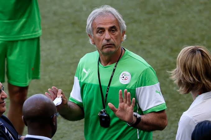 Vahid Halilhodžić envisagé pour diriger les Verts, une nouvelle ère pour le football algérien?