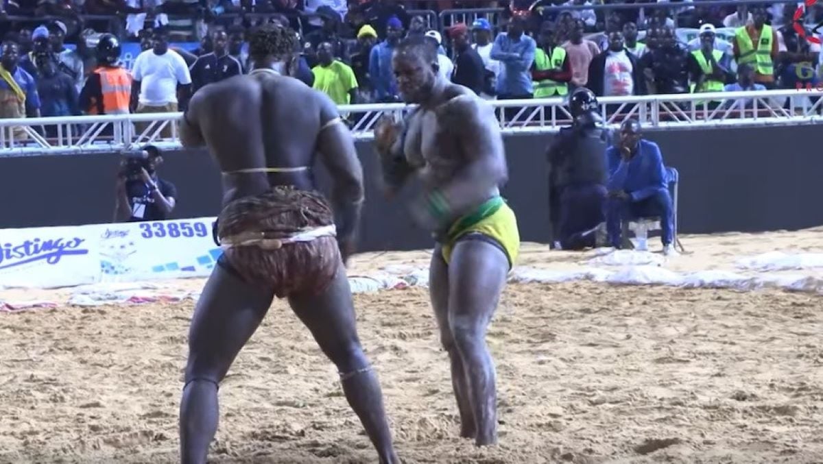 Vidéo: Modou Lô, bourreau de Pikine, vainc Boy Niang en lutte sénégalaise