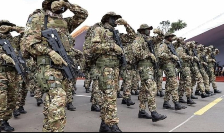 Classement des armées les plus puissantes d’Afrique : Égypte 1ère, Nigeria 4ème, Sénégal…
