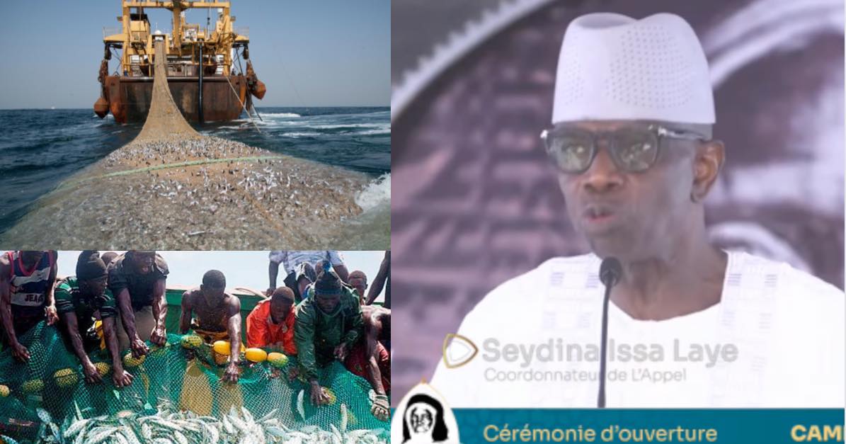 Licences de pêche: « L’État doit protéger les Sénégalais », Seydina Issa Laye (Senego Tv)