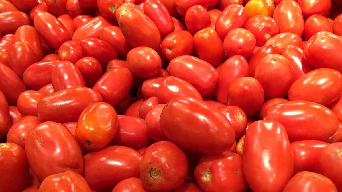 Crise agricole en France: lutte pour l’équité face aux importations agricoles
