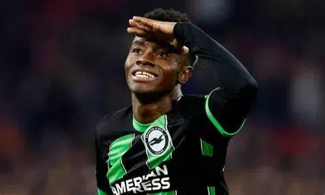 Simon Adingra, l’étoile montante de Brighton et héros ivoirien