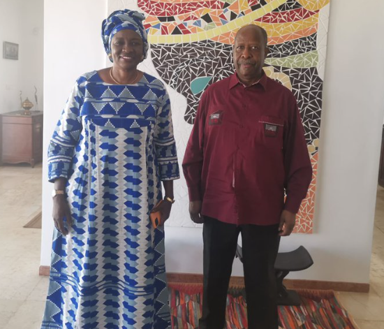 Situation du pays : Aminata Touré rencontre le Représentant Spécial de l’ONU pour l’Afrique de l’Ouest…