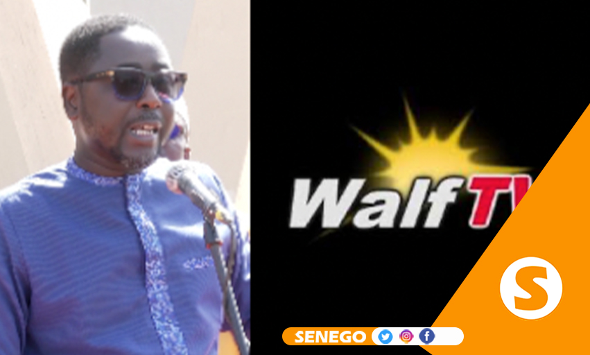Retrait licence Walf : « Un nouvel abus de pouvoir… », Pape Alé Niang