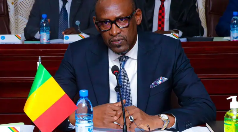 Bamako accueillera la conférence régionale ouest-africaine sur les diasporas en 2024