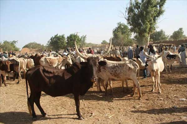 Recul de 8,9% de l’activité économique sénégalaise en janvier 2024