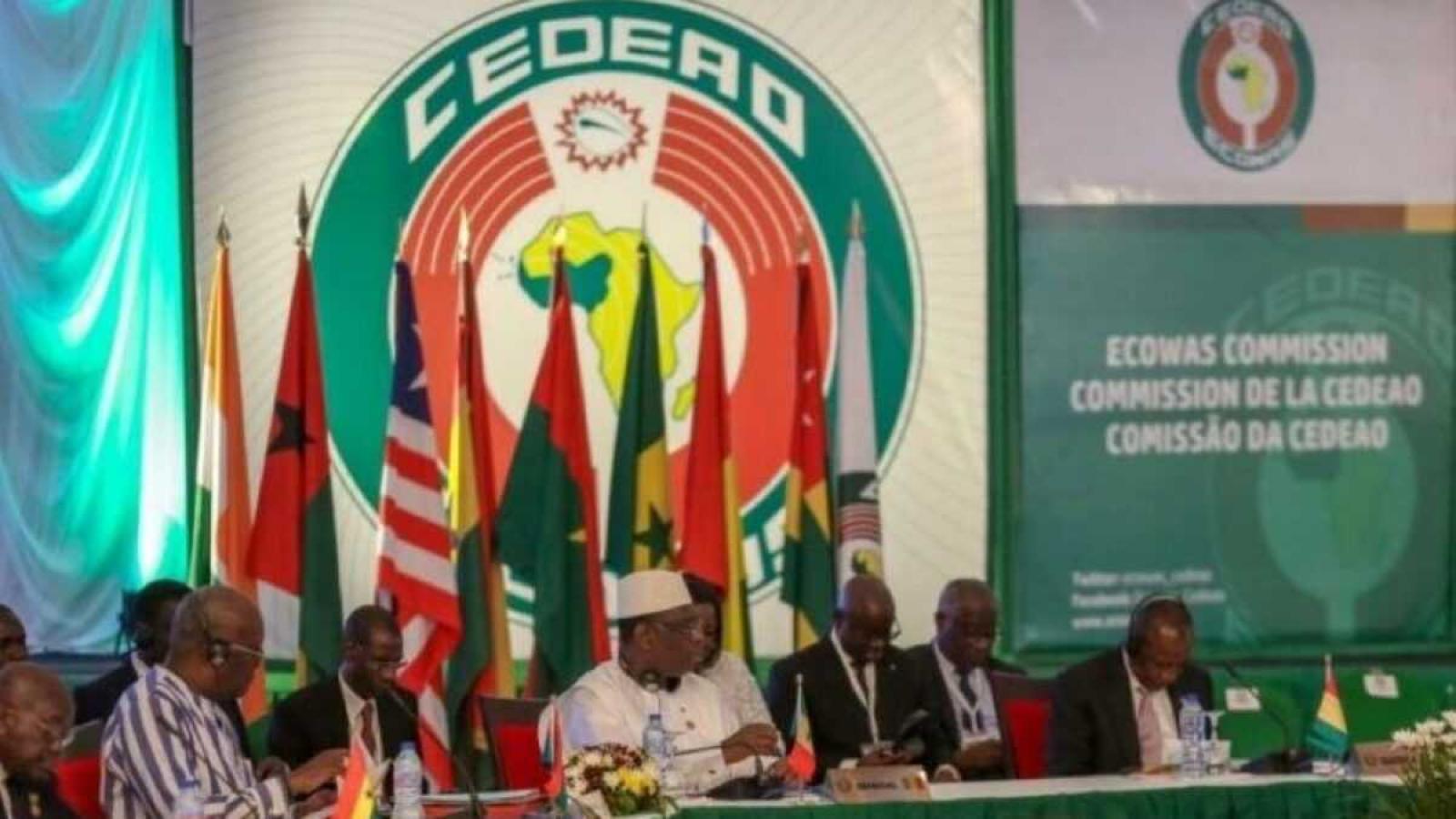 Présidentielle 2024: La Cedeao va envoyer 130 observateurs au Sénégal