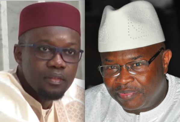 Les partisans de feu Me Alioune Badara Cissé appellent à voter pour Diomaye Faye