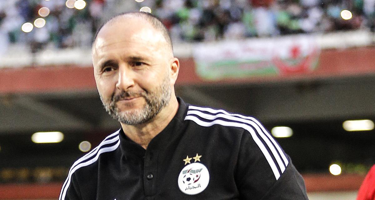 Djamel Belmadi envisagé pour entraîner l’Olympique de Marseille après le départ de Jean-Louis Gasset