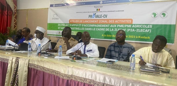 Innovation au Sénégal : Kaolack lance un plan pour booster PME locales