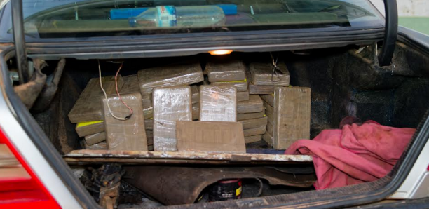 Montée Alarmante du Trafic de Cocaïne au Sahel, Révèle le Rapport de l’ONUDC